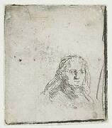 Study of the Head of a Woman