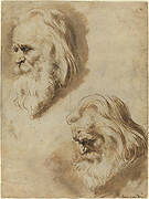 Two Studies of an Elderly Man's Head