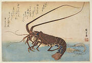 Woodblock print from the Large Fish Series: Ise-ebi: Crawfish or Spiny Lobster and Ebi: shrimp