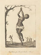 Flagellation of a Female Samboe Slave