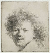 Self-portrait with long bushy hair: head only