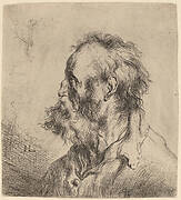 Bust of a Bearded Old Man