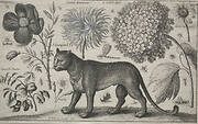 Animals and Plants:  Leopard with Plants and Insects