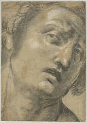 3/4 frontal view of a man's head, tilted to the right