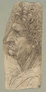 Head of a Man in Profile Facing to the Left