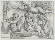 Four Putti Making and Drinking Wine