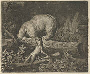 The Bear's Snout and Paws Are Caught in the Trunk of a Tree from Hendrick van Alcmar's Renard The Fox