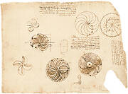 Studies for the design of a perpetual wheel