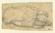 Study of a man's right hand (recto); Studies of four heads and of a nude figure seen from the rear (verso)