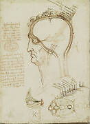 Recto: The layers of the scalp, and the cerebral ventricles. Verso: Studies of the head