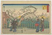 Plum gardens at Kameido, from the series, Famous places of Edo