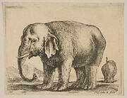 Plate 10: elephant, from 'Various animals' (Diversi animali)