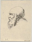 Plate 8: head of an old bald man with a long beard, facing left in profile, from 'Various heads and figures' (Diverses têtes et figures)