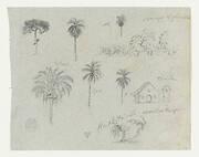 Sketches from the Rio Magdalena, Colombia.  Botanical sketches. A church.  Similar to -103.