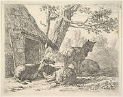 Four sheep, one sheep stands among three others lying on the ground next to a shed with thatched roof and open door