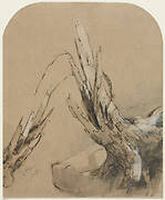 A Blasted Tree (recto)