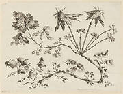 Flower Boughs, from "Recueil de Differentes Fleurs de Fantaisie Dans le Goût Chinois"