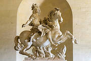 Equestrian statue of Louis XIV transformed into Marcus Curtius