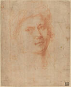 Head of a Youth