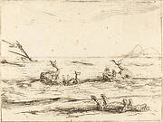 Dolphins and Crocodile