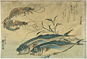 Two Fish and Two Crayfish from the series Fish