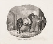 Lithographed Studies of Horses: Pl. 7, Horse from the Caen Plain