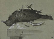 Dead Raven Lying over a Knife on a Stone Table