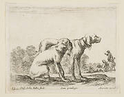 Plate 23: two hounds, from 'Various animals' (Diversi animali)