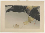 Crow and Ginkgo Leaves, from the series Seitei's Flowers and Birds