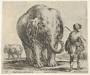 Plate 16: an elephant in center, his mahout standing to the right wearing an Oriental costume, another elephant to left in background, from 'Diversi capricci'