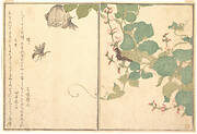 『画本虫撰』  「蜂」「毛虫」|Paper Wasp (Hachi); Hairy Caterpillar (Kemushi), from the Picture Book of Crawling Creatures (Ehon mushi erami)