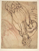 Anatomical Studies of a Leg (recto); Study of a Leg (verso)