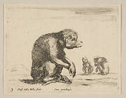 Plate 3: seated monkey, from 'Various animals' (Diversi animali)