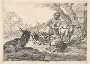 Woman with Goats