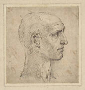 Head of a Man in Profile to Right