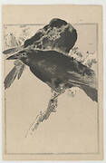 Snowy Pine and Crows, from Seitei's Picture Album of Birds and Flowers Vol. 1