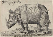 Rhinoceros