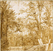 Trees behind a Wooden Fence, c. 1638-1642