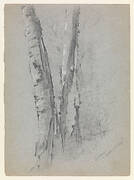 Study of Birch Trunks (Scribners')