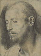 Study of the Head of a Bearded Man