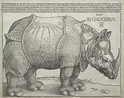 The Rhinoceros