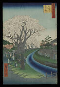 Cherry Blossoms on the Banks of the Tama River, from the series One Hundred Famous Views of Edo