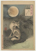 Musashi plain moon, from the series One Hundred Aspects of the Moon