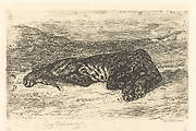 Tiger Sleeping in the Desert (Tigre couché dans le désert)