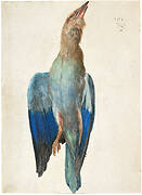 Dead Blue Roller, 1500 (or 1512)