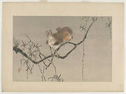 Robins on Willow Branch, from the series Seitei's Flowers and Birds