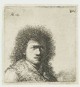 Self-portrait with bushy hair: bust