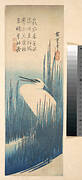 歌川広重画　芦に鷺|White Heron Standing among Reeds