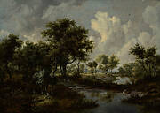 A Wooded Landscape