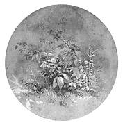 Study of Ground Foliage (from Cropsey Album)